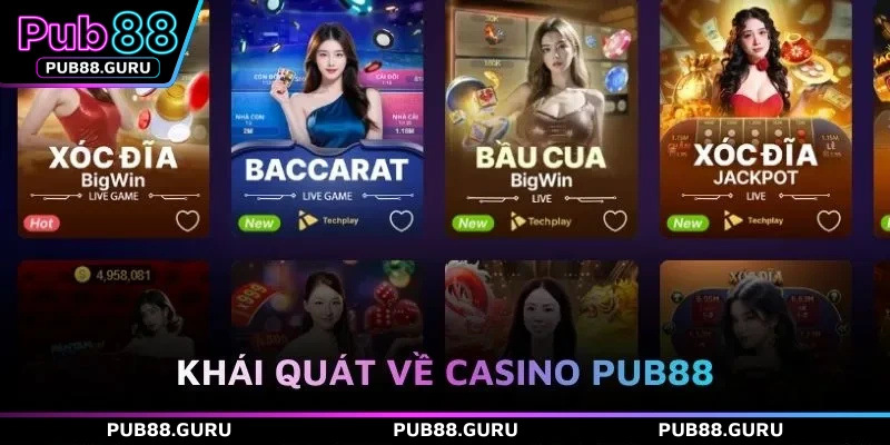 Khái quát về casino PUB88
