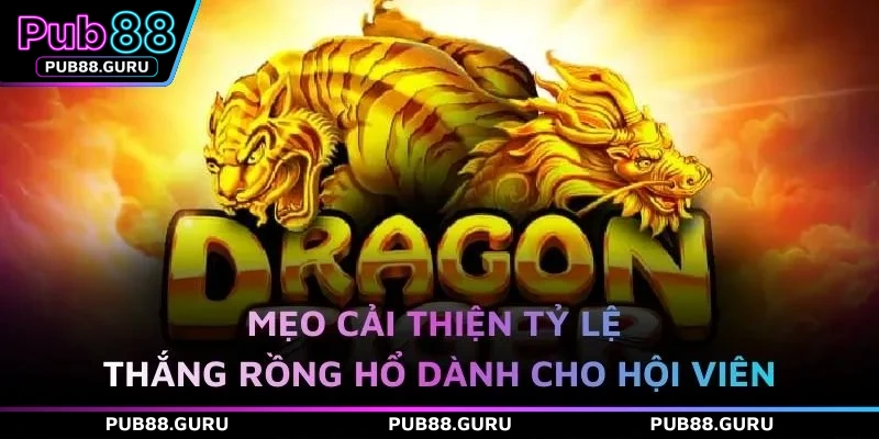 Mẹo cải thiện tỷ lệ thắng Rồng Hổ dành cho hội viên