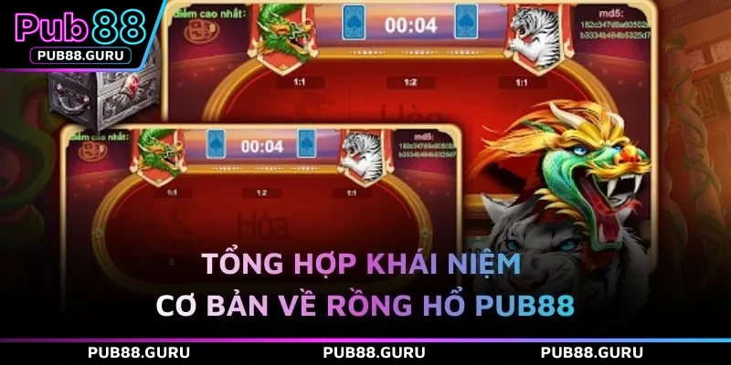 Tổng hợp khái niệm cơ bản về Rồng Hổ PUB88